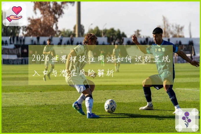 2026世界杯投注网站如何识别正规入口与潜在风险解析