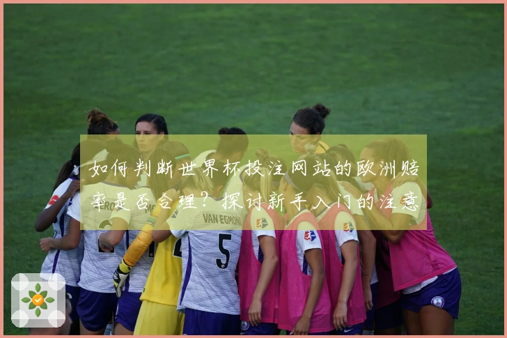 如何判断世界杯投注网站的欧洲赔率是否合理？探讨新手入门的注意事项