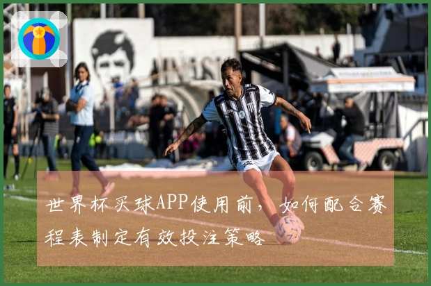 世界杯买球APP使用前，如何配合赛程表制定有效投注策略
