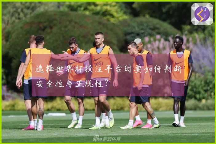 选择世界杯投注平台时要如何判断安全性与正规性？