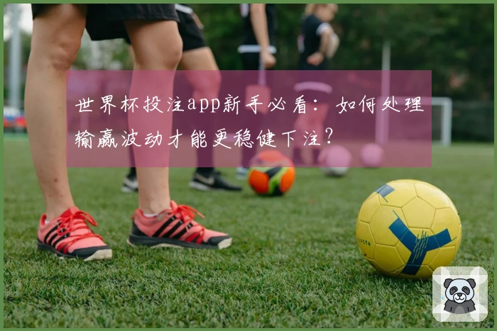 世界杯投注app新手必看：如何处理输赢波动才能更稳健下注？