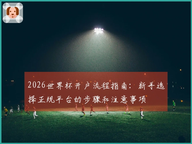 2026世界杯开户流程指南：新手选择正规平台的步骤和注意事项