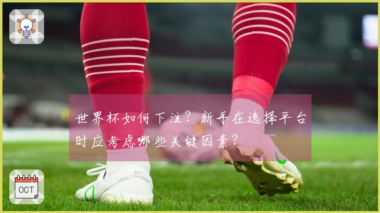 世界杯如何下注？新手在选择平台时应考虑哪些关键因素？