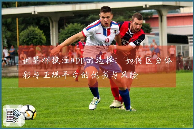 世界杯投注app的选择：如何区分体彩与正规平台的优劣与风险