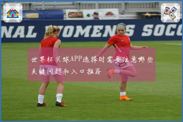 世界杯买球APP选择时需要注意哪些关键问题和入口推荐