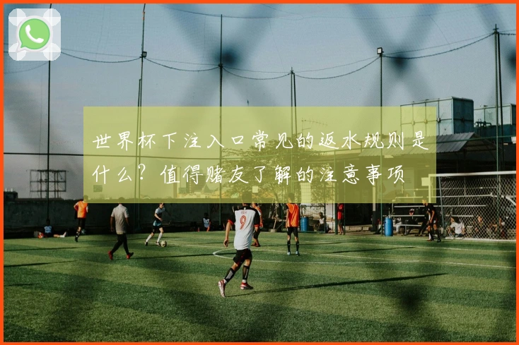 世界杯下注入口常见的返水规则是什么？值得赌友了解的注意事项