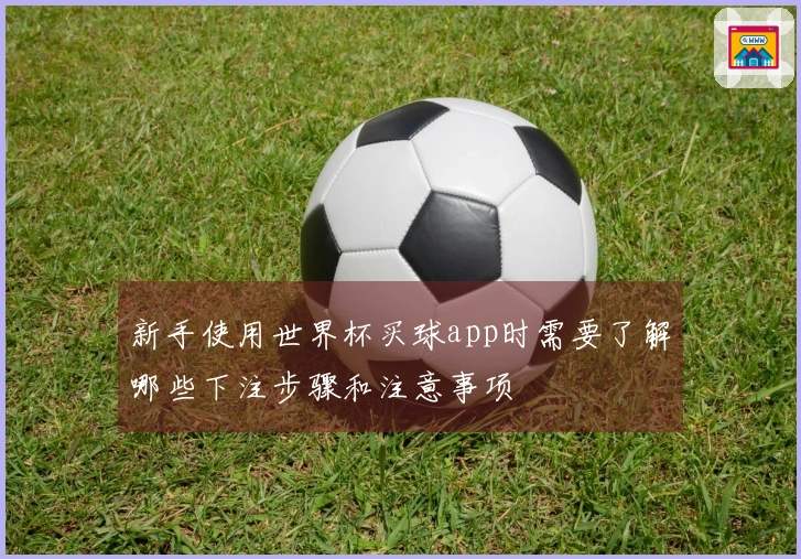 新手使用世界杯买球app时需要了解哪些下注步骤和注意事项