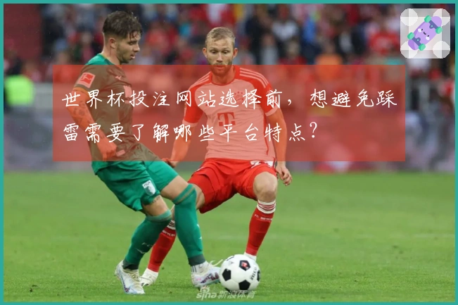 世界杯投注网站选择前，想避免踩雷需要了解哪些平台特点？