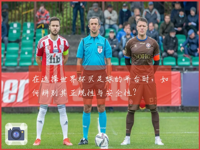 在选择世界杯买足球的平台时，如何辨别其正规性与安全性？