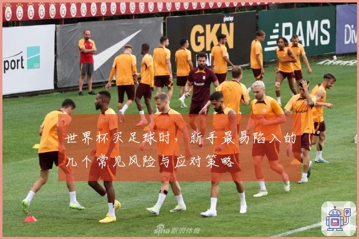 世界杯买足球时，新手最易陷入的几个常见风险与应对策略