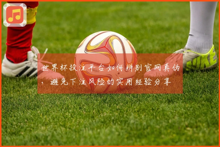 世界杯投注平台如何辨别官网真伪，避免下注风险的实用经验分享
