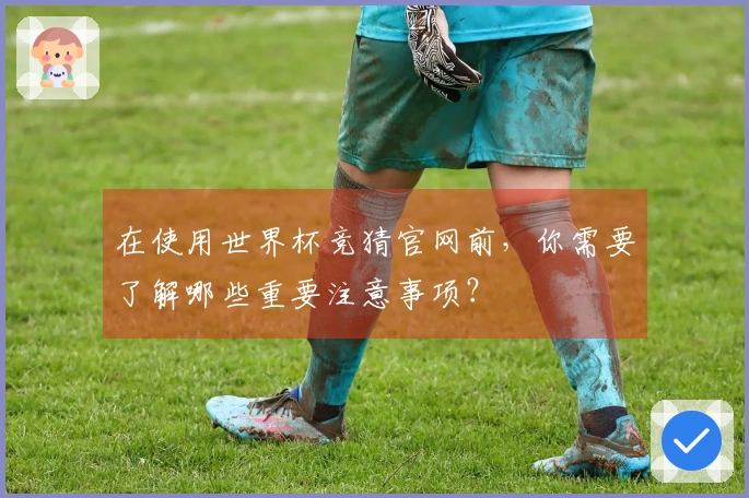 在使用世界杯竞猜官网前，你需要了解哪些重要注意事项？