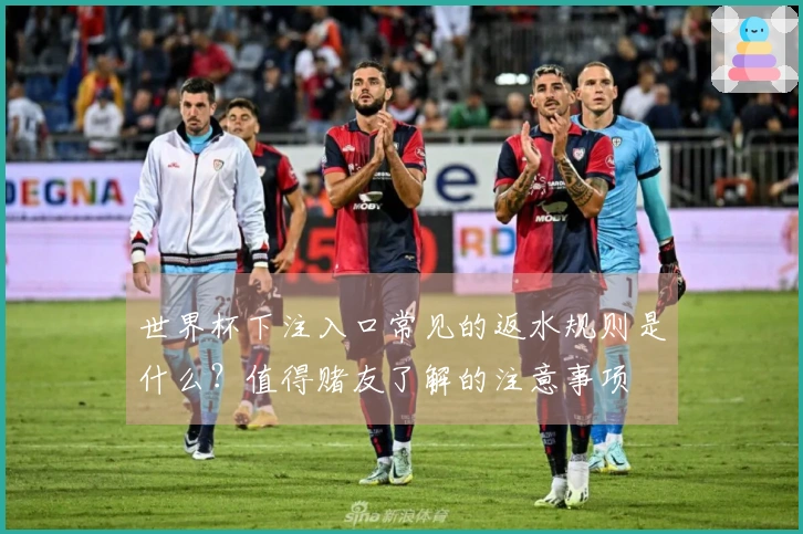 世界杯下注入口常见的返水规则是什么？值得赌友了解的注意事项