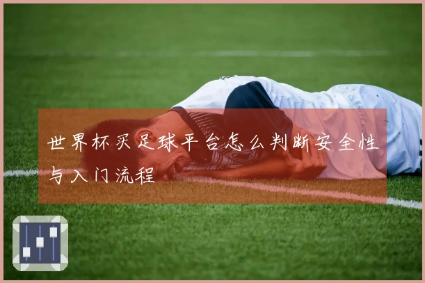 世界杯买足球平台怎么判断安全性与入门流程