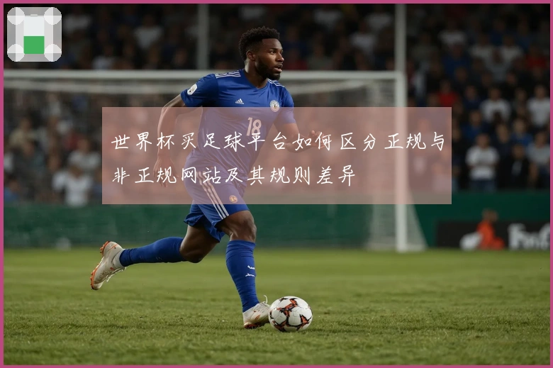 世界杯买足球平台如何区分正规与非正规网站及其规则差异