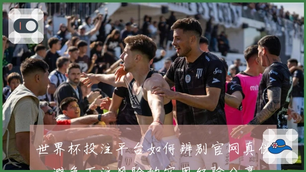 世界杯投注平台如何辨别官网真伪，避免下注风险的实用经验分享