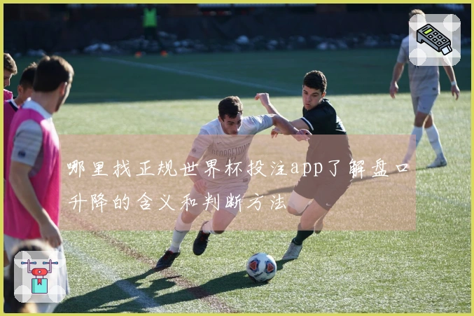 哪里找正规世界杯投注app了解盘口升降的含义和判断方法