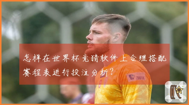 怎样在世界杯竞猜软件上合理搭配赛程表进行投注分析？