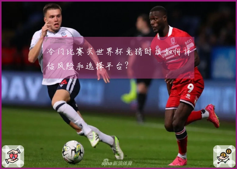 冷门比赛买世界杯竞猜时该如何评估风险和选择平台？