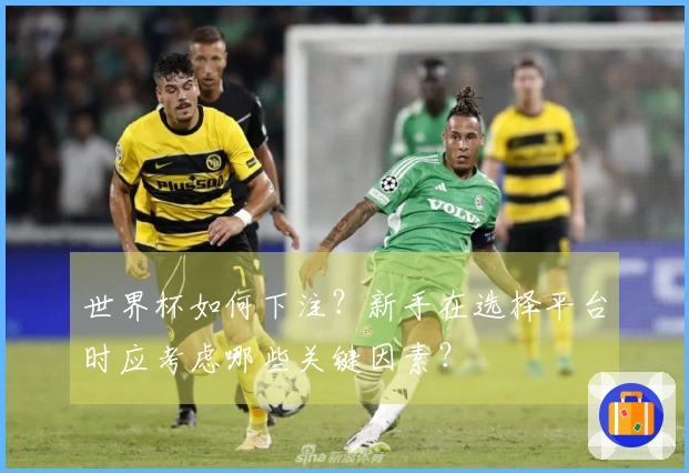 世界杯如何下注？新手在选择平台时应考虑哪些关键因素？