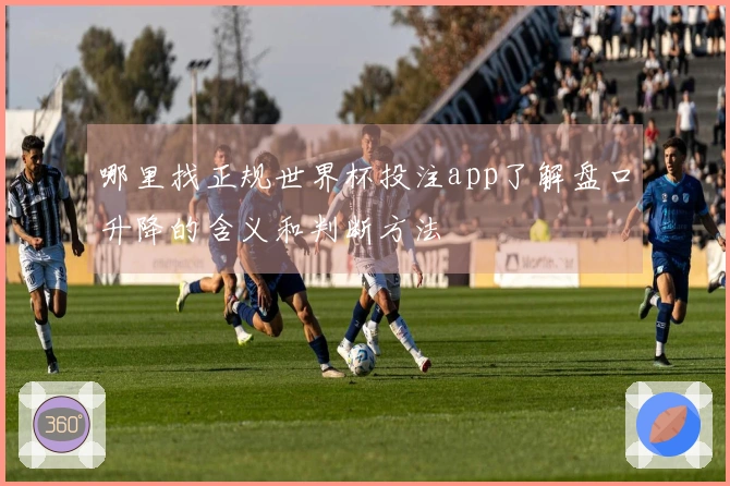 哪里找正规世界杯投注app了解盘口升降的含义和判断方法
