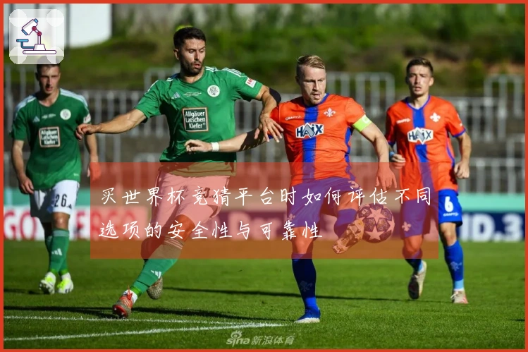 买世界杯竞猜平台时如何评估不同选项的安全性与可靠性