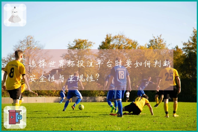 选择世界杯投注平台时要如何判断安全性与正规性？