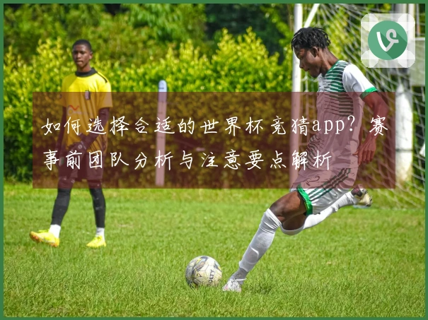 如何选择合适的世界杯竞猜app?赛事前团队分析与注意要点解析