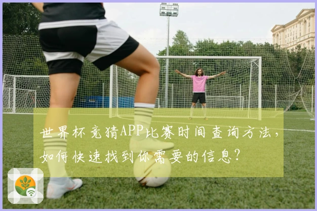 世界杯竞猜APP比赛时间查询方法，如何快速找到你需要的信息？
