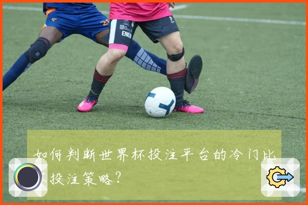 如何判断世界杯投注平台的冷门比赛投注策略？
