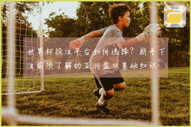 世界杯投注平台如何选择?新手下注前须了解的亚洲盘口基础知识