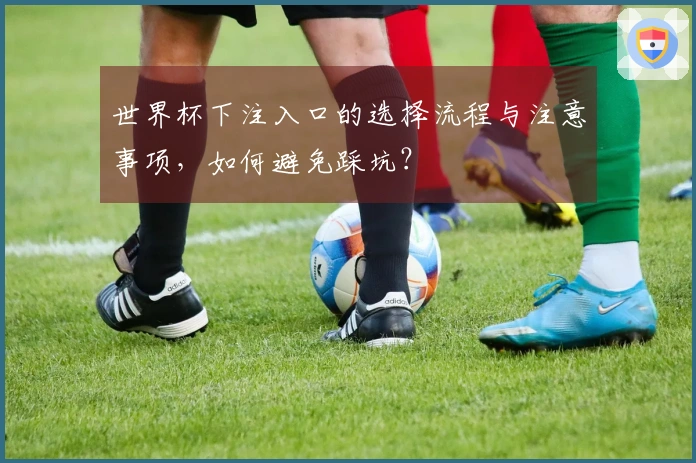 世界杯下注入口的选择流程与注意事项，如何避免踩坑？