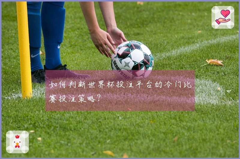 如何判断世界杯投注平台的冷门比赛投注策略？