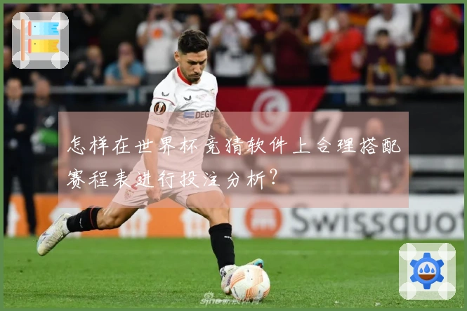 怎样在世界杯竞猜软件上合理搭配赛程表进行投注分析？