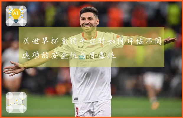 买世界杯竞猜平台时如何评估不同选项的安全性与可靠性