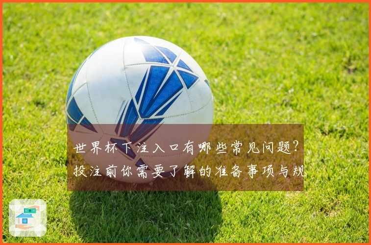 世界杯下注入口有哪些常见问题？投注前你需要了解的准备事项与规则解析