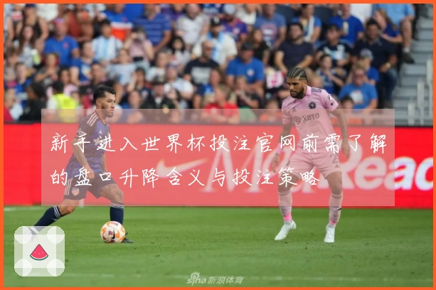 新手进入世界杯投注官网前需了解的盘口升降含义与投注策略