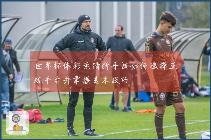 世界杯体彩竞猜新手该如何选择正规平台并掌握基本技巧