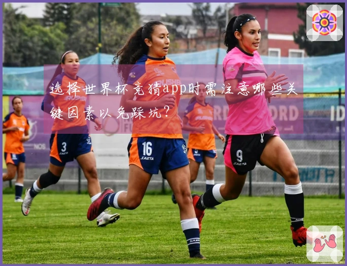 选择世界杯竞猜app时需注意哪些关键因素以免踩坑？