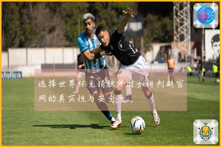 选择世界杯竞猜软件时如何判断官网的真实性与安全性