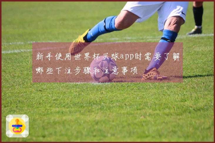 新手使用世界杯买球app时需要了解哪些下注步骤和注意事项