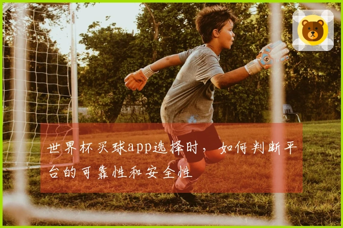 世界杯买球app选择时，如何判断平台的可靠性和安全性