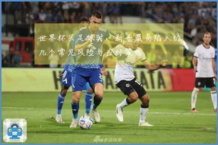 世界杯买足球时，新手最易陷入的几个常见风险与应对策略